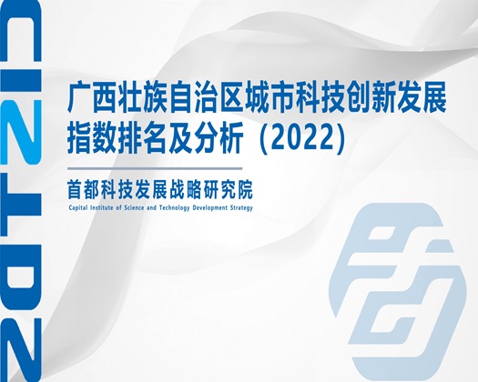 骚妇操逼【成果发布】广西壮族自治区城市科技创新发展指数排名及分析（2022）